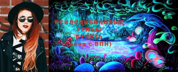 дживик Краснослободск
