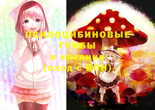 прущая мука Кулебаки