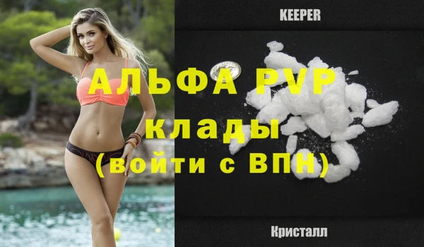 дживик Краснослободск