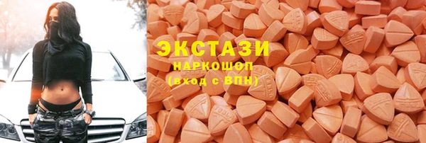 дживик Краснослободск