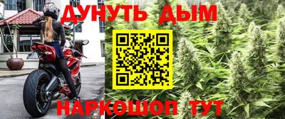 apvp Кимры