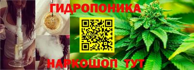 дмт Кинель
