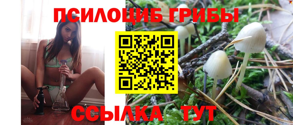 Галлюциногенные грибы прущие грибы Юрга