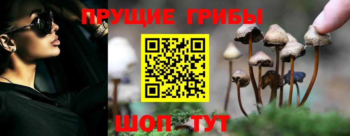 Псилоцибиновые грибы мухоморы  Вход с VPN  Галлюциногенные грибы Cubensis  Юрга 