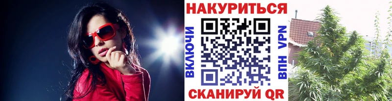 Конопля планчик Юрга